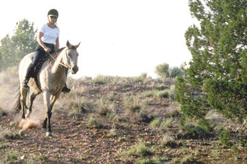 Patrica_Trail_Lesson